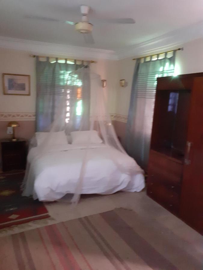 Villa Nile House לוקסור מראה חיצוני תמונה