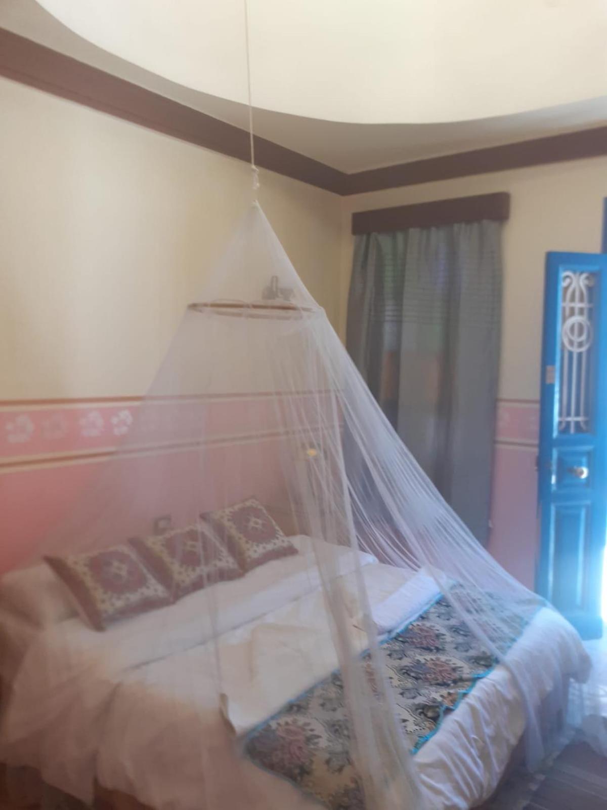 Villa Nile House לוקסור מראה חיצוני תמונה